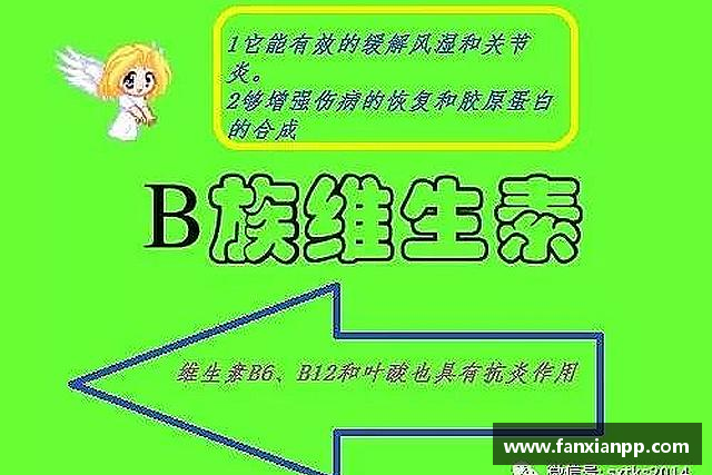 了解壹号娱乐